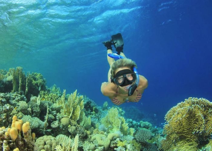 great-photo-of-a-tourist-on-a-snorkeling-trip